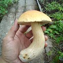  , --, 47  -  25  2013    