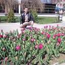 ���� ˸��, ����� - ��������� 11 ������ 2011