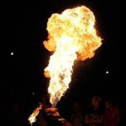 �����, 33 ����, �����������