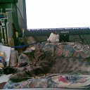 ���� �����, ����������, 59 ��� - ��������� 13 ���� 2010 � ������ �������