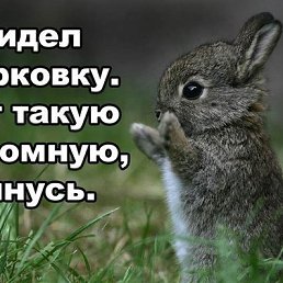 ���� ������, ������, 50 ��� - ��������� 26 ���� 2013