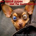 ���� ����, ��� - ��������� 18 ������ 2010 � ������ �������