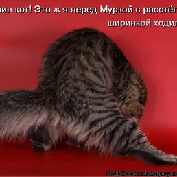 ���� ������, ��������� - ��������� 6 ������� 2010