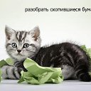  , ,  -  10  2013   ! :))))))))))))