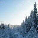  Serzh Van Der Maaremaan,  -  1  2009    