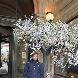 ���� ���, ��������, 56 ��� - ��������� 8 ������ 2013