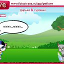  , , 28  -  10  2010   PetLove