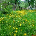 �� ��, ��� ��. �� ������� �������