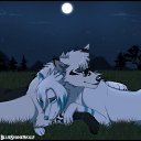 ���� �����, ������ - ��������� 8 ������� 2012 � ������ �������� Moon (���, ����)�