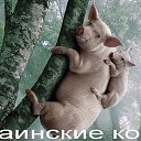 ���� ��������, �������, 58 ��� - ��������� 5 ���� 2013 � ������ ������ ��������