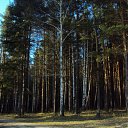 ���� �����, ������, 33 ���� - ��������� 24 ��� 2010 � ������ �����������