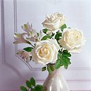  Leyla, , 52  -  9  2012   