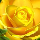 ���� ����, ����, 51 ��� - ��������� 18 ������ 2012 � ������ ���� ����������
