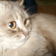 Светлана, 52 года, Луганск Светлана, 52 года, Луганск