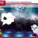 ���� ���, ������, 33 ���� - ��������� 12 ����� 2011 � ������ �PetLove�