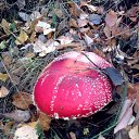 ����� �����.