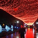 ���� ������, ������, 28 ��� - ��������� 9 ���� 2013