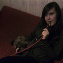 ���� �����, ����, 33 ���� - ��������� 20 ������� 2010 � ������ ���� ����������