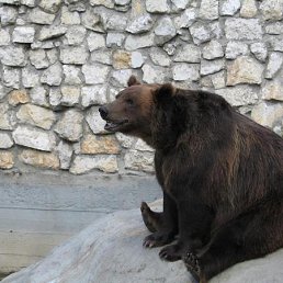 ���� �, �����, 45 ��� - ��������� 27 ������� 2011