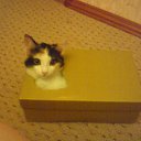 ���� Hell Girl, ���������, 31 ��� - ��������� 22 ������� 2010 � ������ ��������� ���