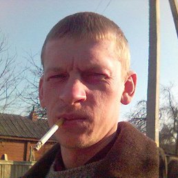 �������, ������, 46 ���