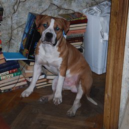 ���� Igorek1979, ������, 46 ��� - ��������� 14 ��� 2012