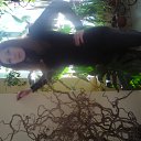  ,  , 41  -  5  2011   ))