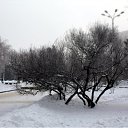  ok, --, 44  -  27  2010   