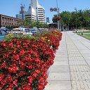 ������. �����-���. �� ������� ���������� ����)))�