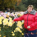 ���� �������, ������� - ��������� 23 ������ 2012 � ������ ���� ����������