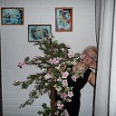 ���� �������, �����, 67 ��� - ��������� 10 ������� 2012 � ������ ���� ����������