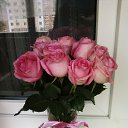 ���� ����, ������� - ��������� 18 ������� 2013 � ������ ���� ����������