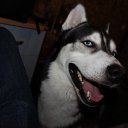  Yury, , 64  -  29  2012