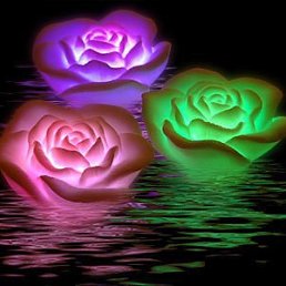 ���, �����-���������, 38 ���