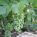 ���� �����, ������, 57 ��� - ��������� 26 ���� 2013 � ������ ���� ����������