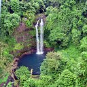 ���� Fox, �����������, 44 ���� - ��������� 4 �������� 2012 � ������ ��������