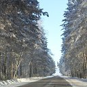 ���� ����, ������������, 49 ��� - ��������� 22 ����� 2012 � ������ ���� ����������