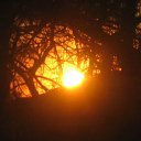 ���� ���, ������������ - ��������� 13 ������� 2010 � ������ ���� ����������