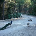 ������ �������� �� ������� ���� ����������