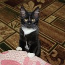 ���� �����, ����������� - ��������� 13 ������ 2013 � ������ ����� ������