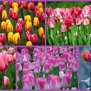  (  ),  , 54  -  9  2010   