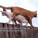  ,  -  5  2012   =)