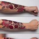 ���� �����, �������, 42 ���� - ��������� 1 ��� 2011 � ������ ����ӻ