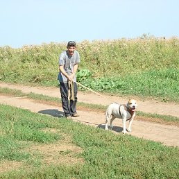 ���� �������, ������, 65 ��� - ��������� 5 ������� 2012