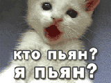 ���� �������, �������, 42 ���� - ��������� 7 ������� 2012