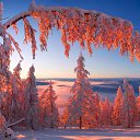 ����� �� ������ ������ �� ������� ������������