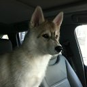 ���� ���������, �����-���������, 42 ���� - ��������� 13 ������� 2012 � ������ ���������