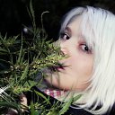  , , 32  -  19  2011     )))