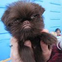 ���� ������, ������ - ��������� 3 ������ 2011 � ������ �������