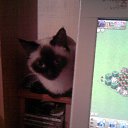 ���� ���@����@, �������, 49 ��� - ��������� 14 ����� 2010 � ������ ���� �����